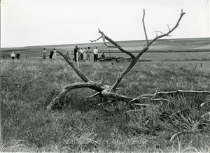 Image description is not available for PHO-4-W689-418